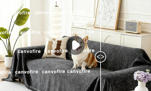 Video Subtitle & Watermark Remover