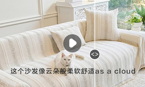 Video Text Translation