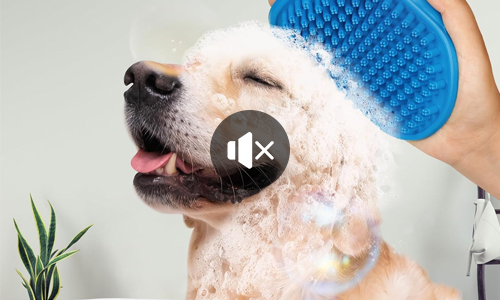 Background Music Remover